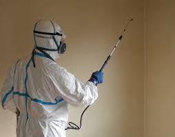 消毒・除菌作業