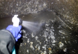 店舗、施設を清潔に保つ