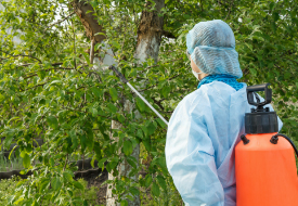 害虫調査・駆除画像