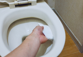 トイレ清掃　定期清掃